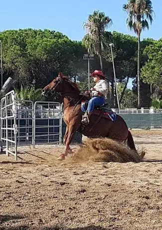 Photo de Dany's Ranch