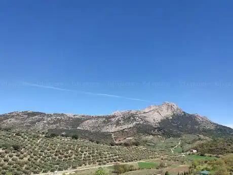 Photo de Mirador de la Gran Senda de Malaga en Alfarnate