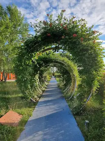 Oranger Garten