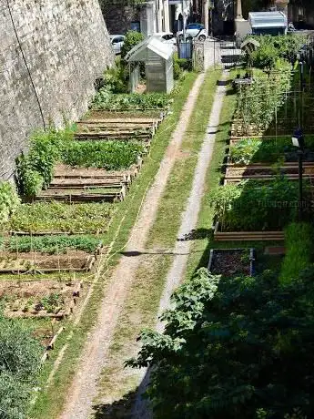 Photo de LORTO - Terra e Persone - Orto Sociale Bergamo