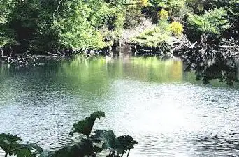 Photo de Parc Animalier Saint Martin Montaigu La Brisette