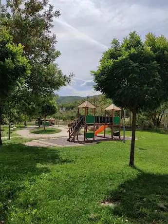 Area picnic