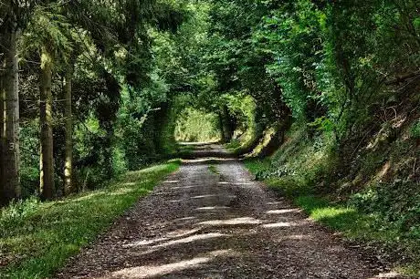 Photo de Moulin Lebecque