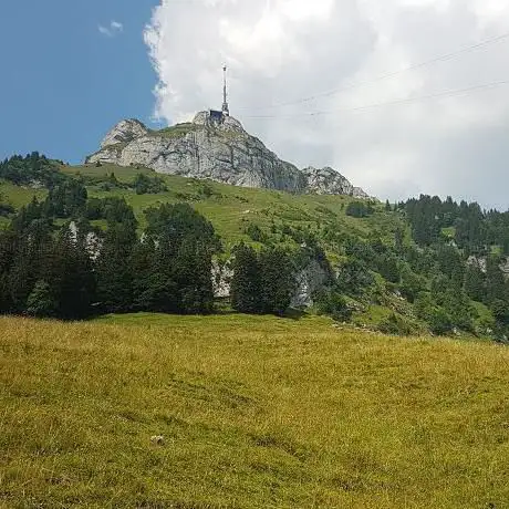 Alpengarten Hoher Kasten