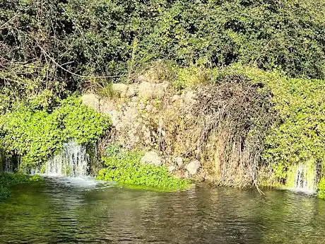 Photo de Font dels Brulls