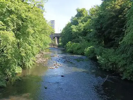 Photo de River Kelvin Walkway