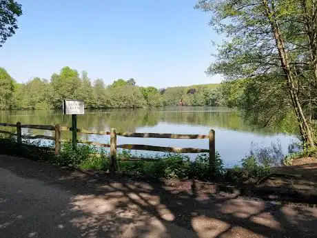Photo de Great Pond