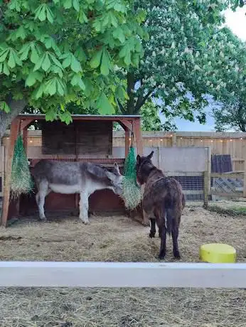 Photo de Maldon Promenade Zoo
