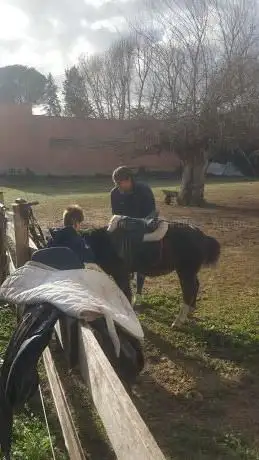 CIRCOLO IPPICO