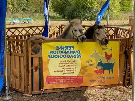 Photo de FERME DES MINIS CHAPEAUX DE PAILLE