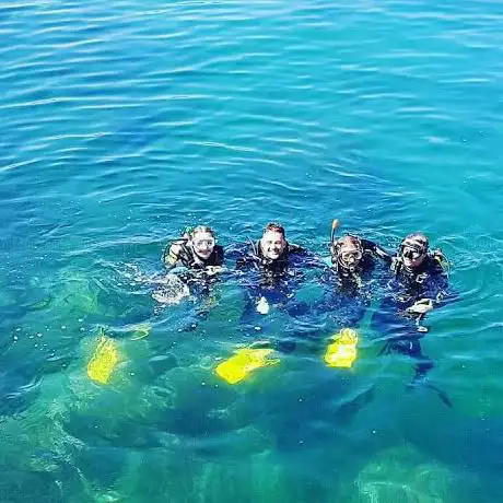 Photo de Scuba Tours Diving Centre