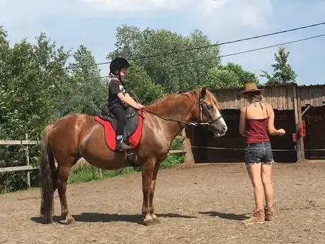 Photo de Zaricahorses