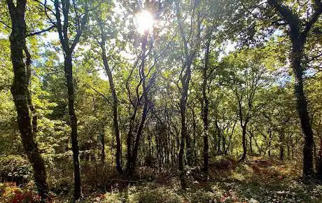 Photo de Monte paralaia