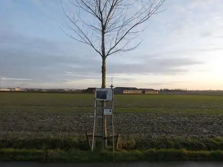 Ypress Salient Herdenkingsboom 37