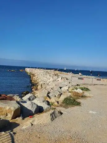 Espigó del Gas
