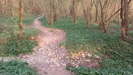 Photo de Parco delle valli d'Argon