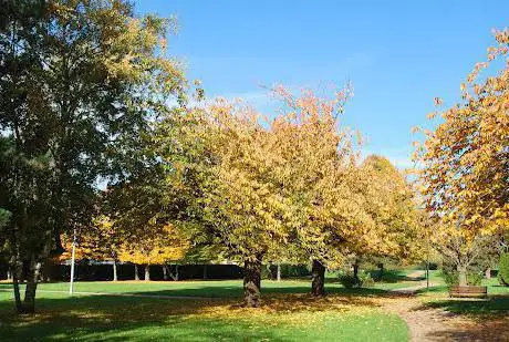 Parc Georges Brassens