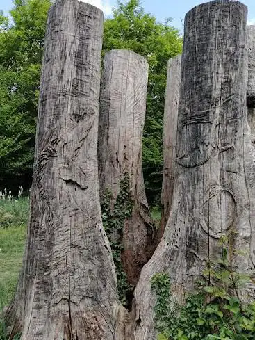Photo de Les Cinq Jumeaux | Chêne sculpté à 5 troncs