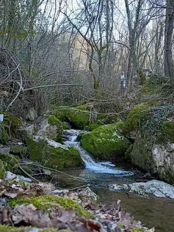 Photo de Cascate del Sambuco