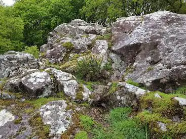 Photo de Site néolitique de Quelfenec