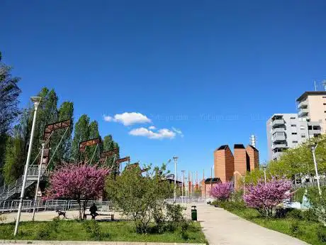 Dora Park (Ingest Area)