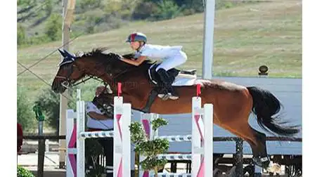 Photo de Play Horse Farm