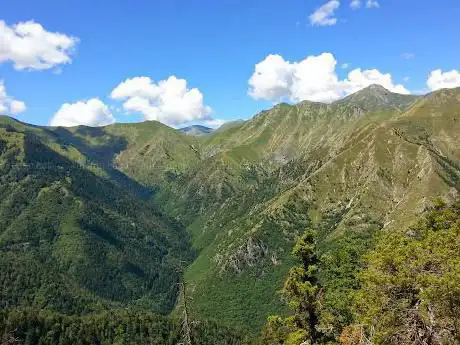 L'Arpiha