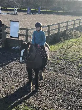 Enborne Equestrian Centre