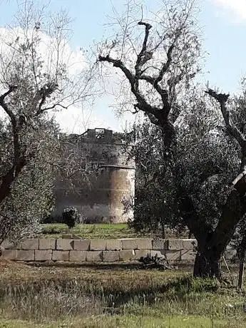 Torre colombaia di Morigino