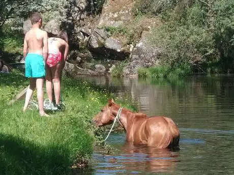 Photo de Praia fluvial dos Prados