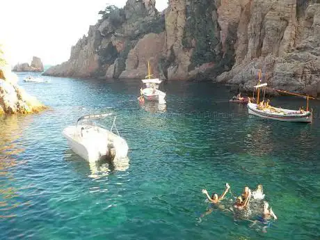 Photo de Tourist Service
