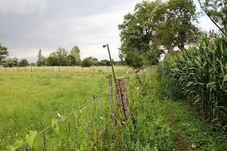 Photo de Mespelwegel