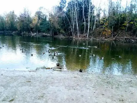 Photo de Parco dell'Isolotto