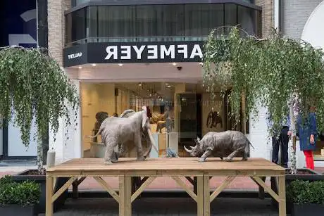 Photo de Cafmeyer Gallery