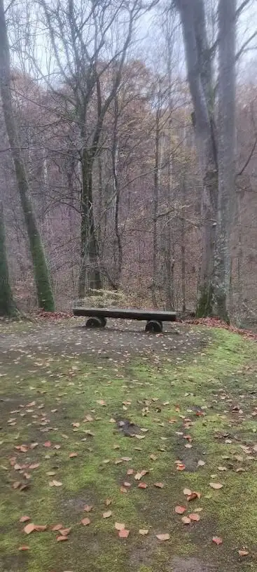 Thionville Woods