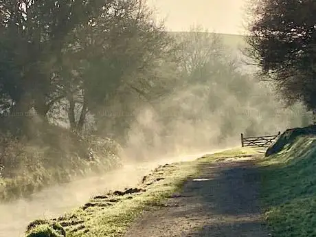 Kings Wood.