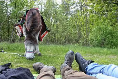Photo de Donkey-Trail