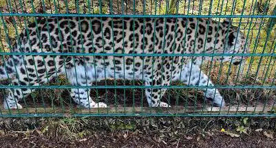 Photo de Zoo