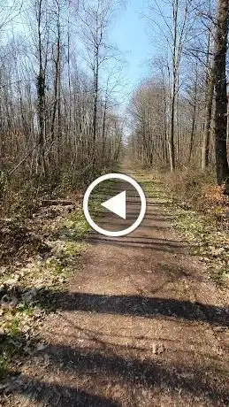 Photo de Bois de Satory