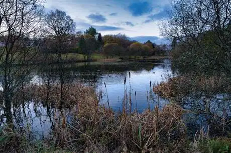 Photo de Airthrey Loch