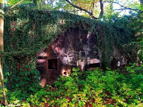 Verdedigingsbunker Ag1 van de PFL3