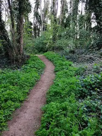 Photo de Hanger Hill Wood