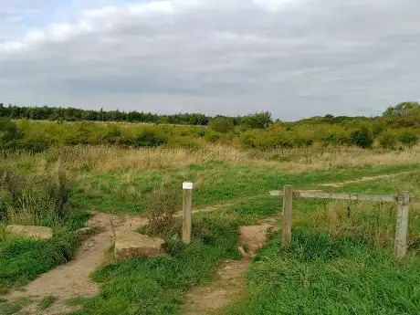 Photo de South Burdon Community Woodland