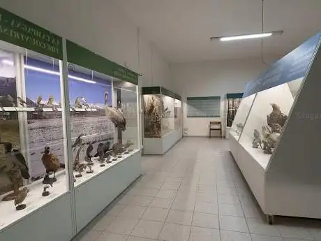 Photo de Museo Ornitologico Luigi Scanagatta