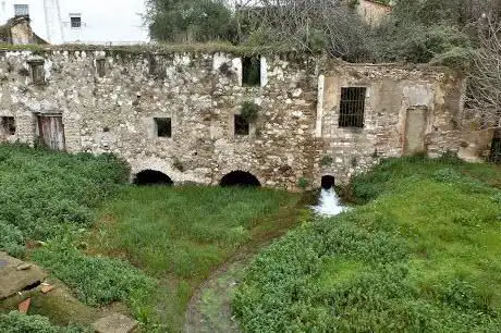 Photo de Nacimiento de Cornicabra