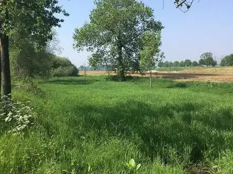 Provinciaal Overstromingsgebied Straatloop