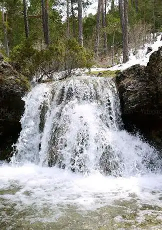 Photo de Ruta Cedrillas-Nacimiento del rÃÂo Mijares (SL-TE 10)