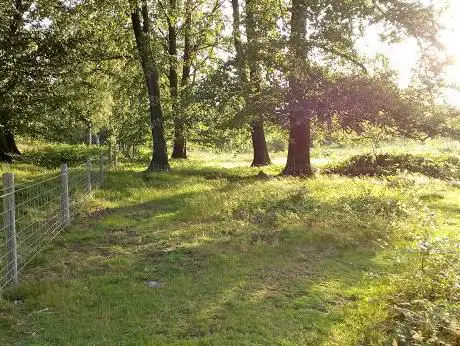 Henwood