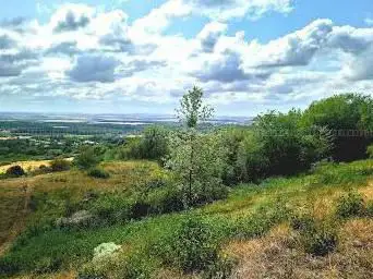 Photo de Pelouses Calcaires d'Arry