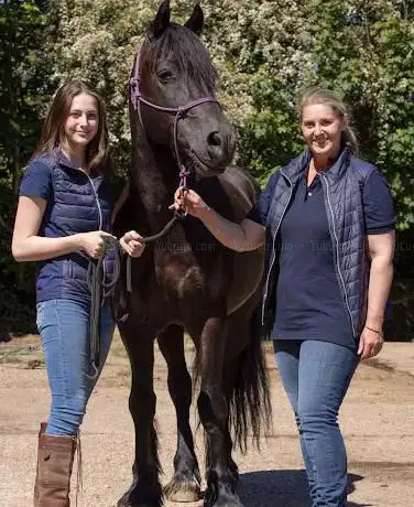 Photo de London Equine Therapy